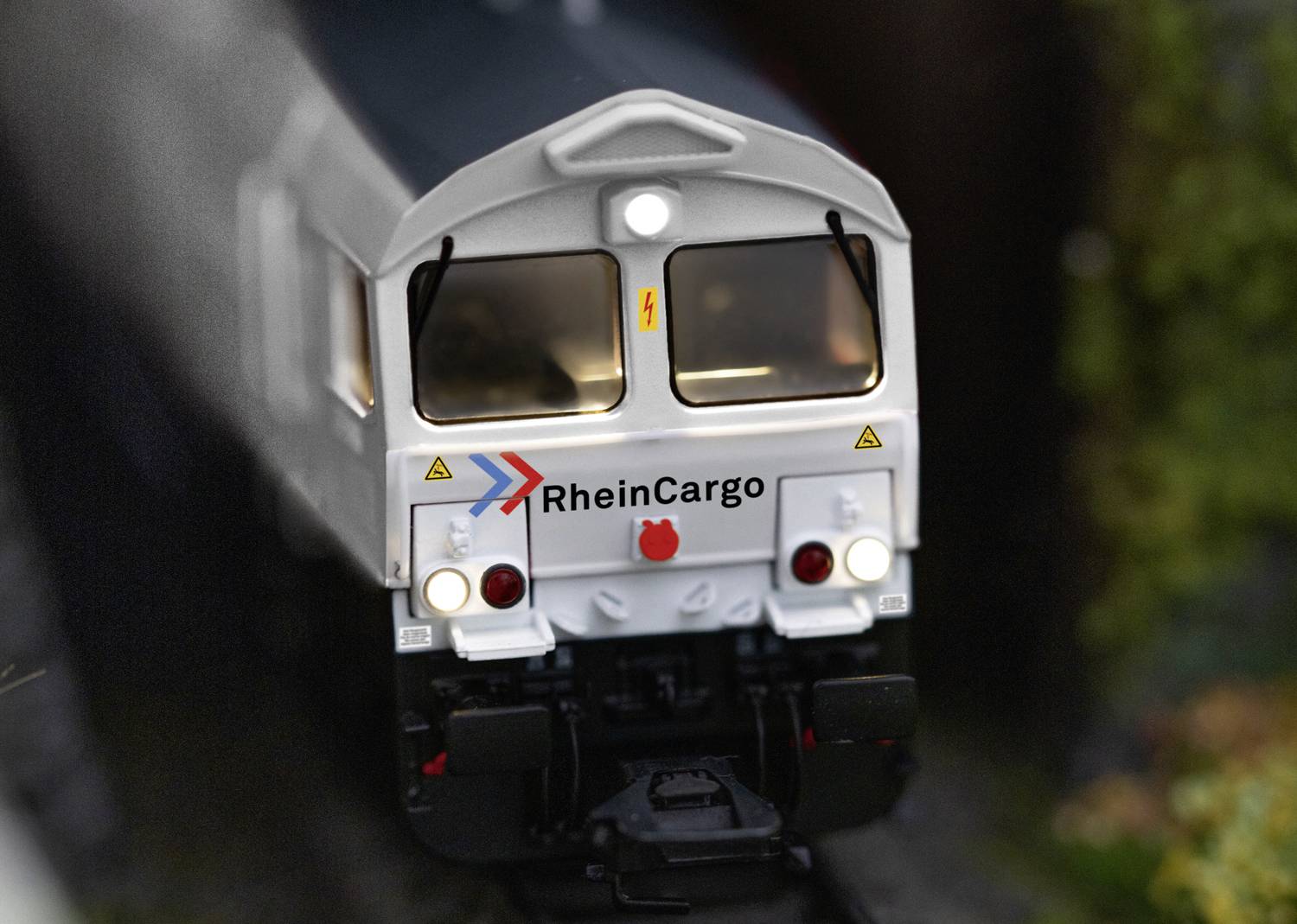 A goods train with the 'RheinCargo' marking travels along a track through a verdant, wooded landscape.