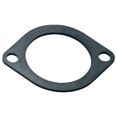 Sealing ring with two fixing holes made of black material, used for sealing connections in machinery or vehicles.