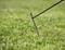 A tent peg is hammered into the lawn, with a taut guy rope attached to it.