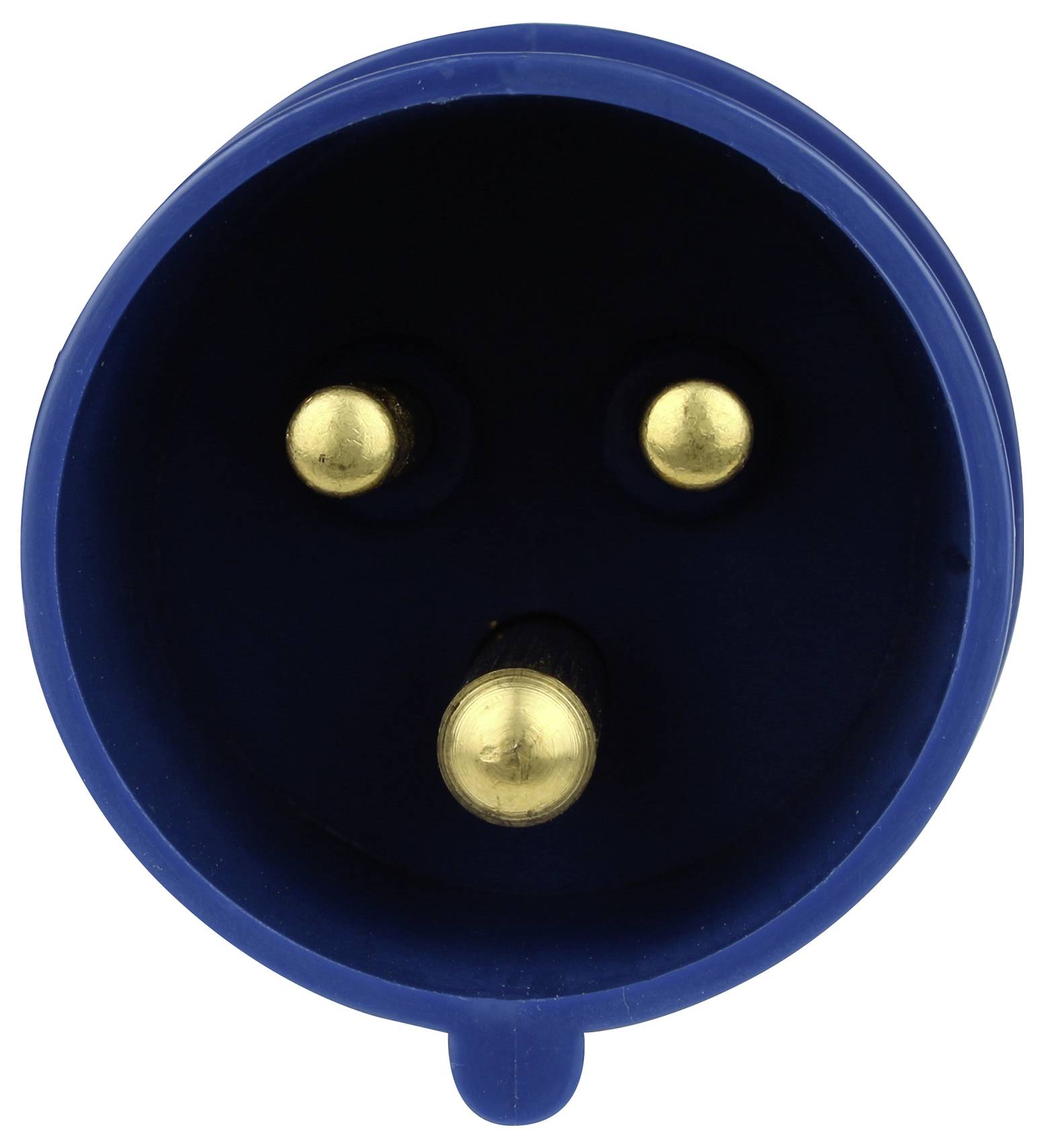Blue European plug with two gold-coloured pins and an earthing pin at the top, front view.