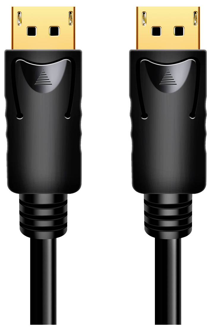 Two DisplayPort cables with black plugs and gold-plated connectors. They are identical and positioned side by side.