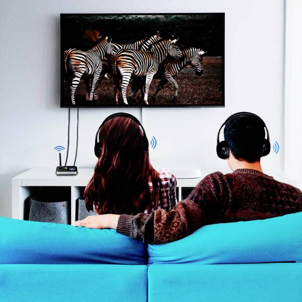 A couple sits on a blue sofa, watching a zebra video on the television and wearing headphones. A radio is placed on a table.
