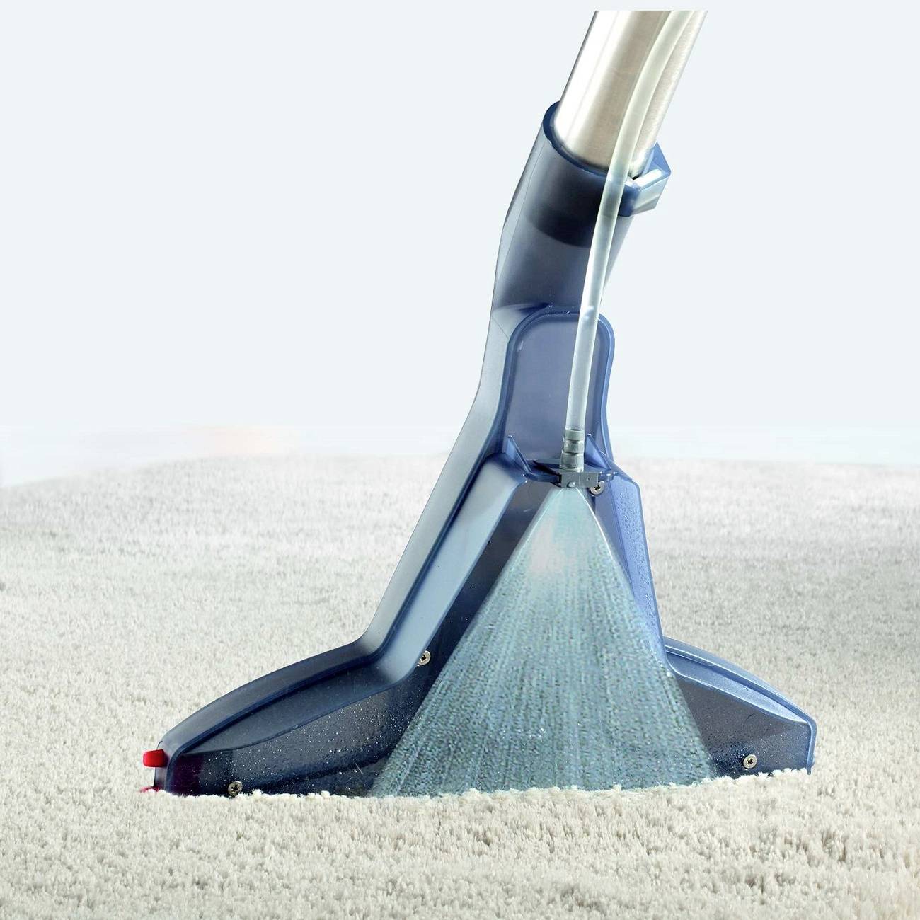 A carpet is thoroughly cleaned with a wet cleaner. Water and cleaning solution are applied evenly.