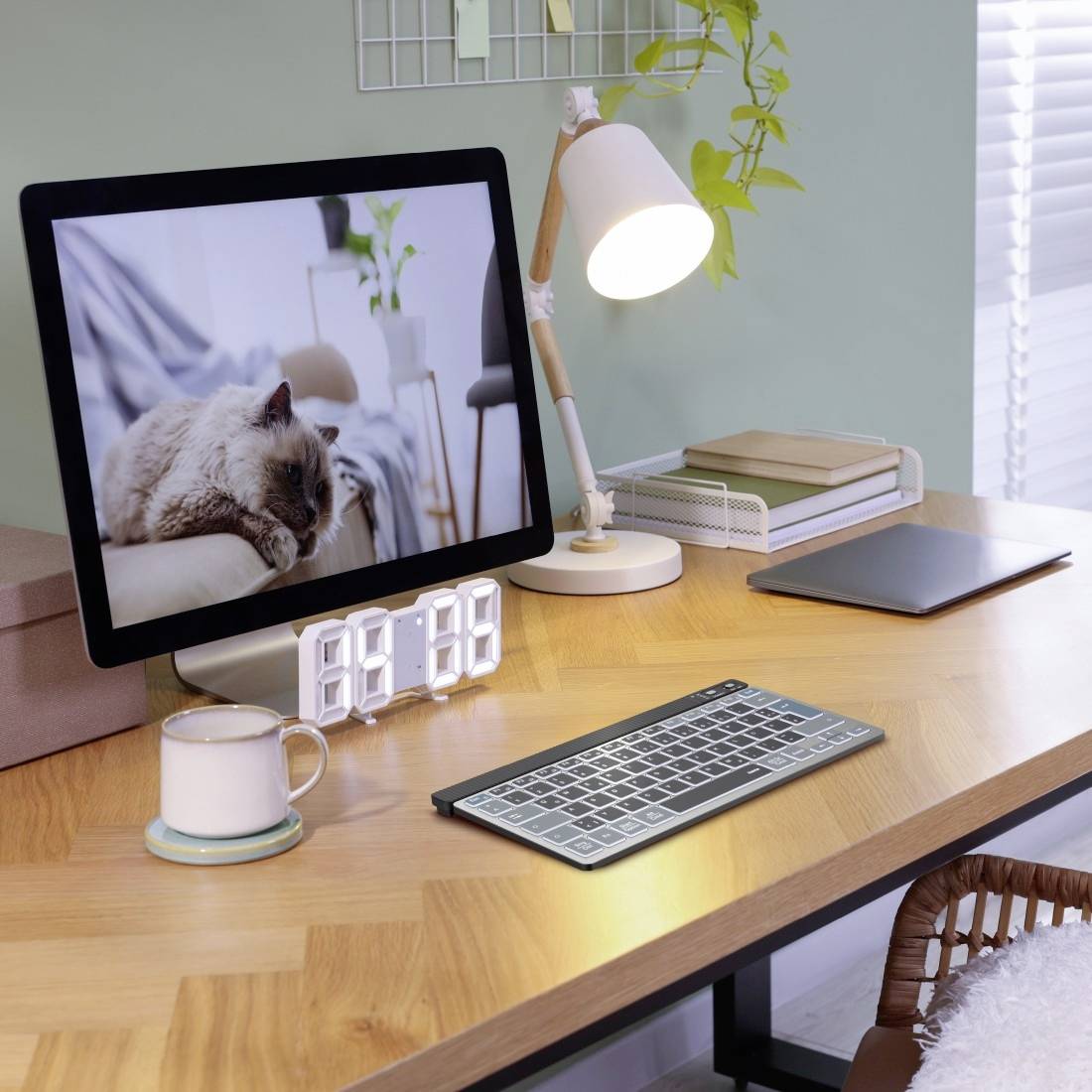 Workspace with a PC monitor, keyboard, lamp, mug, and notebook. The screen displays an image of a sleeping cat.