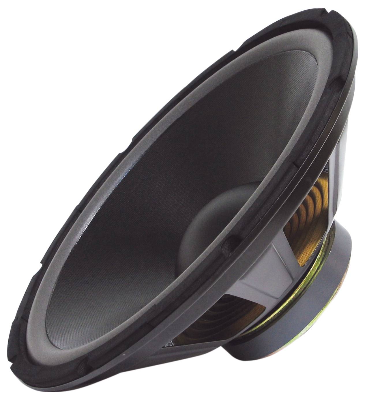 Speaker in close-up, showing the cone and membrane.