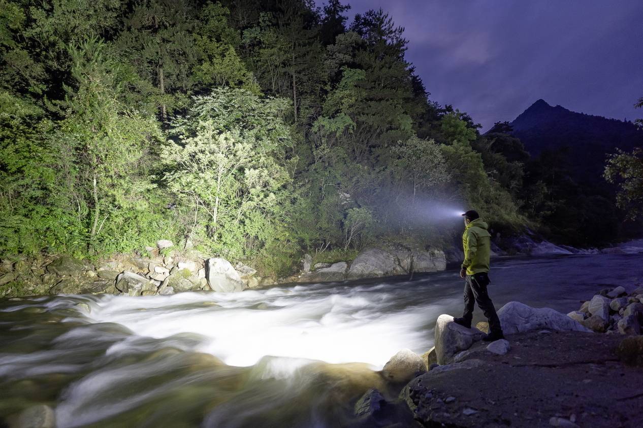 A person wearing a head torch stands on the riverbank in the woods, shining light onto the water. It is night, and the surroundings are dark.