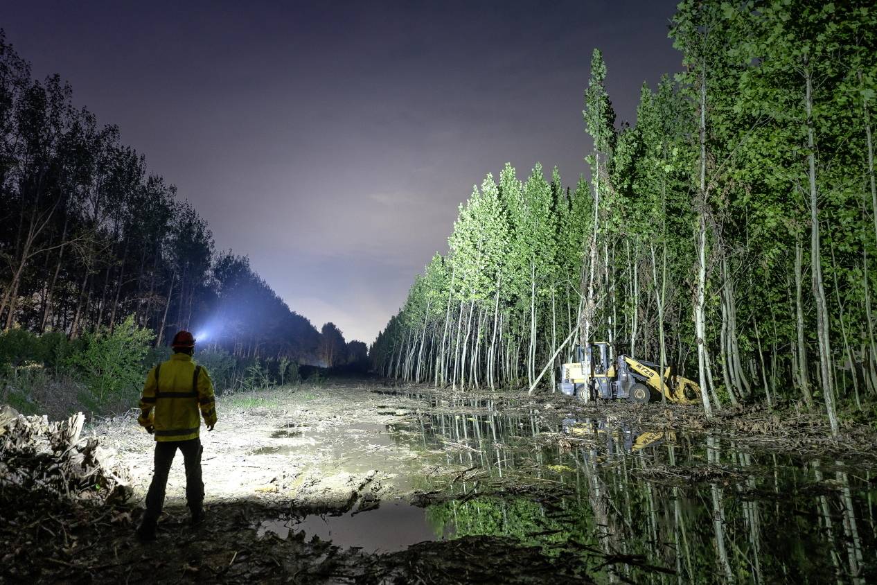 A worker wearing a hard hat stands on a cleared forest area at dusk, looking out over machinery and felled trees.