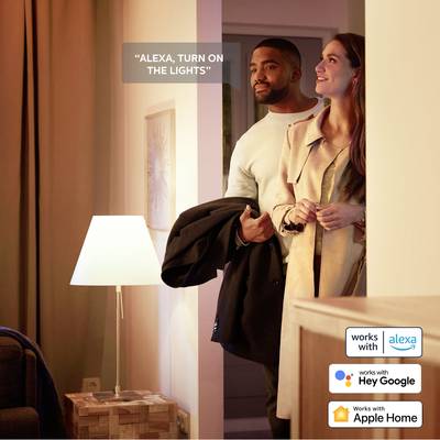 Couple in a living room; He says 'Alexa, turn on the lights'. Lighting control via voice command. Compatible with Alexa, Google Home, Apple Home.