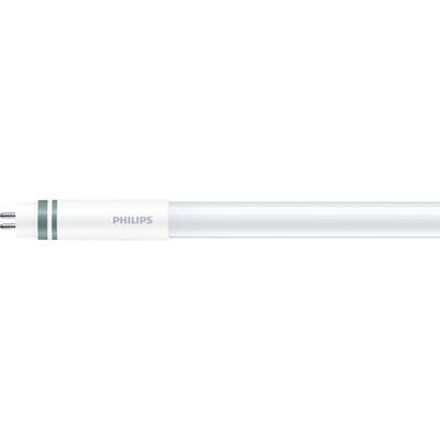 Fluorescent tube with 'Philips' logo and two-sided metal contacts, typical for offices and workshops.