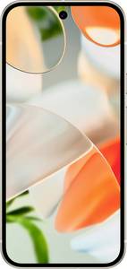 Google Pixel 9 Smartphone  256 GB 16 cm (6.3 inch) EEC A (A - G) Porcelain Android™ 14 Dual SIM