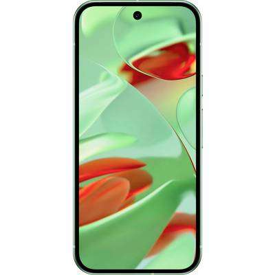 Google Pixel 9 Smartphone 256 GB 16 cm (6.3 inch) Winter green Android™ 14 Dual SIM