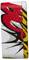 Lighter with a colourful graffiti design in red, yellow, black and white.