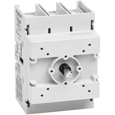 Schneider Electric VLS3P100D2 VLS3P100D2 Isolator switch 1 pc(s)-0
