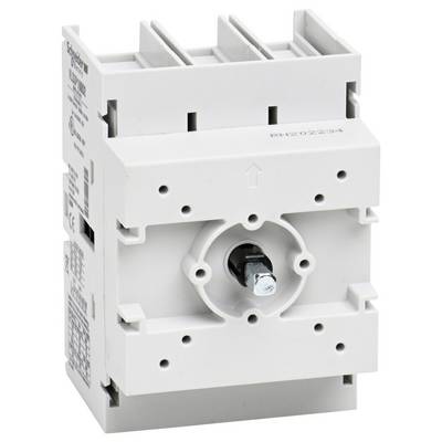 Schneider Electric VLS3P100D2 VLS3P100D2 Isolator switch 1 pc(s)-1
