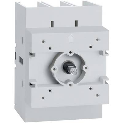 Schneider Electric VLS3P100D2 VLS3P100D2 Isolator switch 1 pc(s)-3