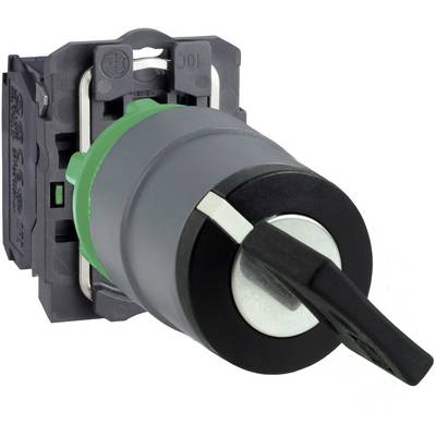 Schneider Electric XB5AGCUST02 XB5AGCUST02 Key switch 1 pc(s) Piece-0
