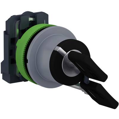Schneider Electric XB5FGCUST01 Key switch 1 pc(s)-0