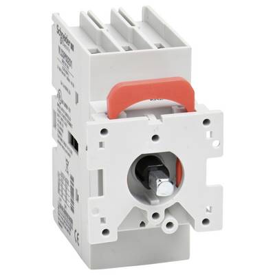 Schneider Electric VLS3P032D1 Isolator switch 1 pc(s)-1