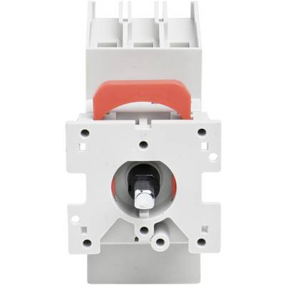 Schneider Electric VLS3P032D1 Isolator switch 1 pc(s)-2