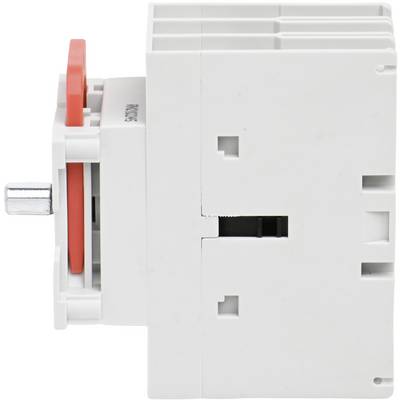 Schneider Electric VLS3P032D1 Isolator switch 1 pc(s)-3
