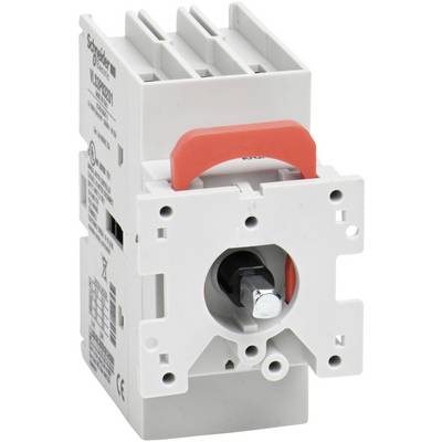 Schneider Electric VLS3P032D1 Isolator switch 1 pc(s)-5