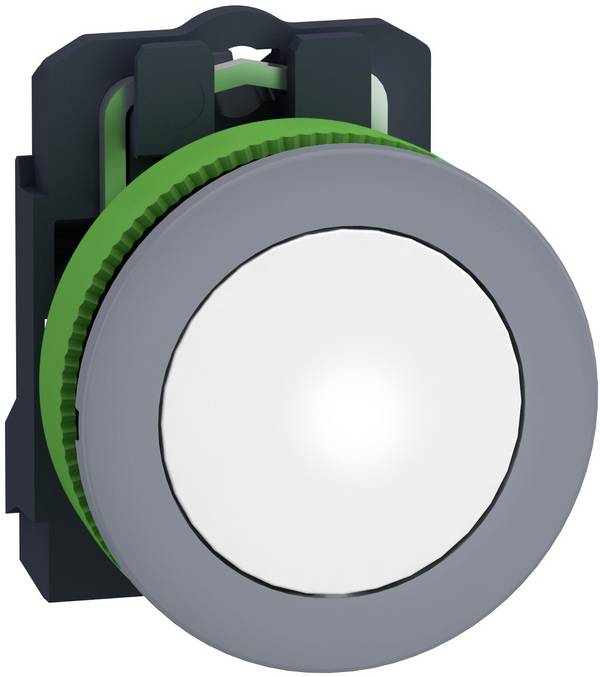 Schneider Electric XB5FVCUST02 Illuminated alerter     1 pc(s) Piece