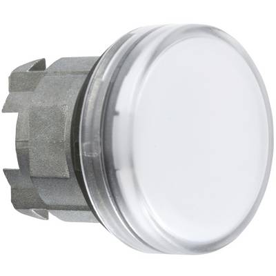 Schneider Electric ZB4BVCUST01 Illuminated alerter writable 1 pc(s)-0