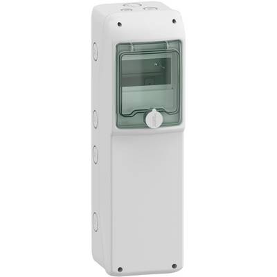 Schneider Electric 13189 Switchboard cabinet Content 1 pc(s)-0