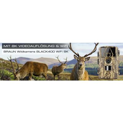 A stag stands in a rocky, green landscape beside other deer. A camouflage wildlife camera is pictured on the right.