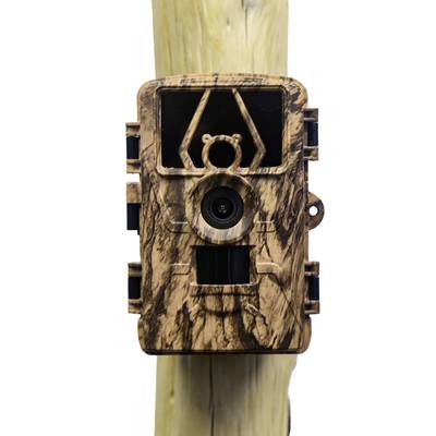 Camouflage surveillance camera mounted on a tree, likely used for wildlife monitoring in a natural environment.