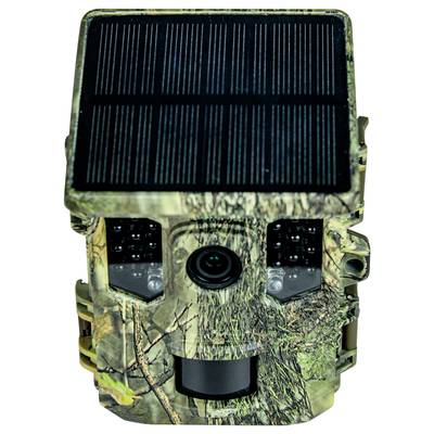 A camouflaged wildlife camera with a solar panel shows a lens and LED lights for observing animals in the wild.