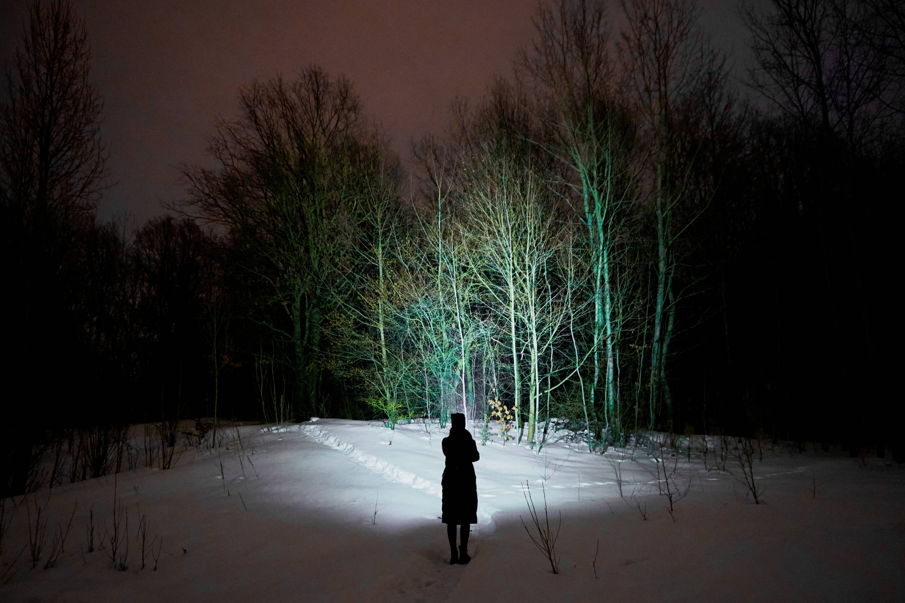 A person stands in the snow at night, in front of trees illuminated by a floodlight. The sky appears softly lit.