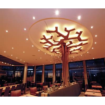 Illuminated restaurant interior with a unique tree-shaped ceiling light, surrounded by contemporary tables and chairs.