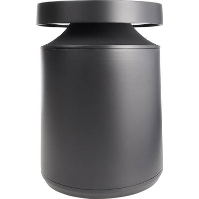A black, cylindrical speaker with a modern design and an upper ring that enables a room-filling sound.