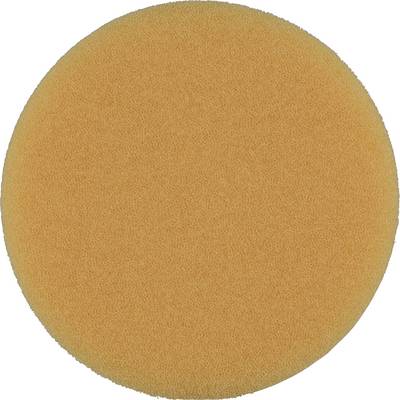 A round, orange sponge with a fine-pored texture, against a white background.