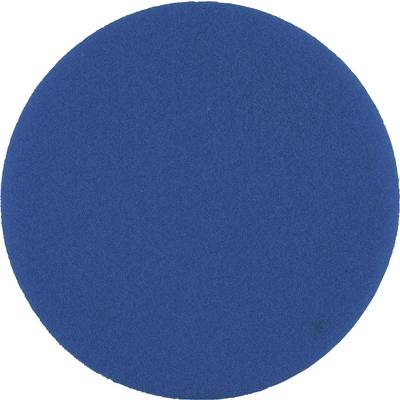 A simple, round blue circle on a white background.