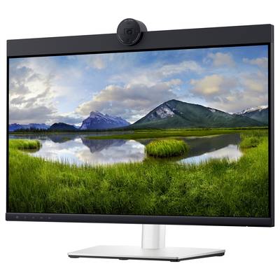 A computer monitor displays a landscape image with mountains, a lake and a green meadow beneath a cloudy sky.