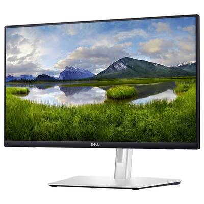 A Dell monitor displays a landscape with mountains, a clear lake and green grass beneath a cloudy sky.