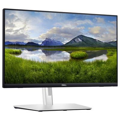 A Dell monitor displays a landscape with green meadows, a tranquil lake, and mountains in the background beneath a cloudy sky.