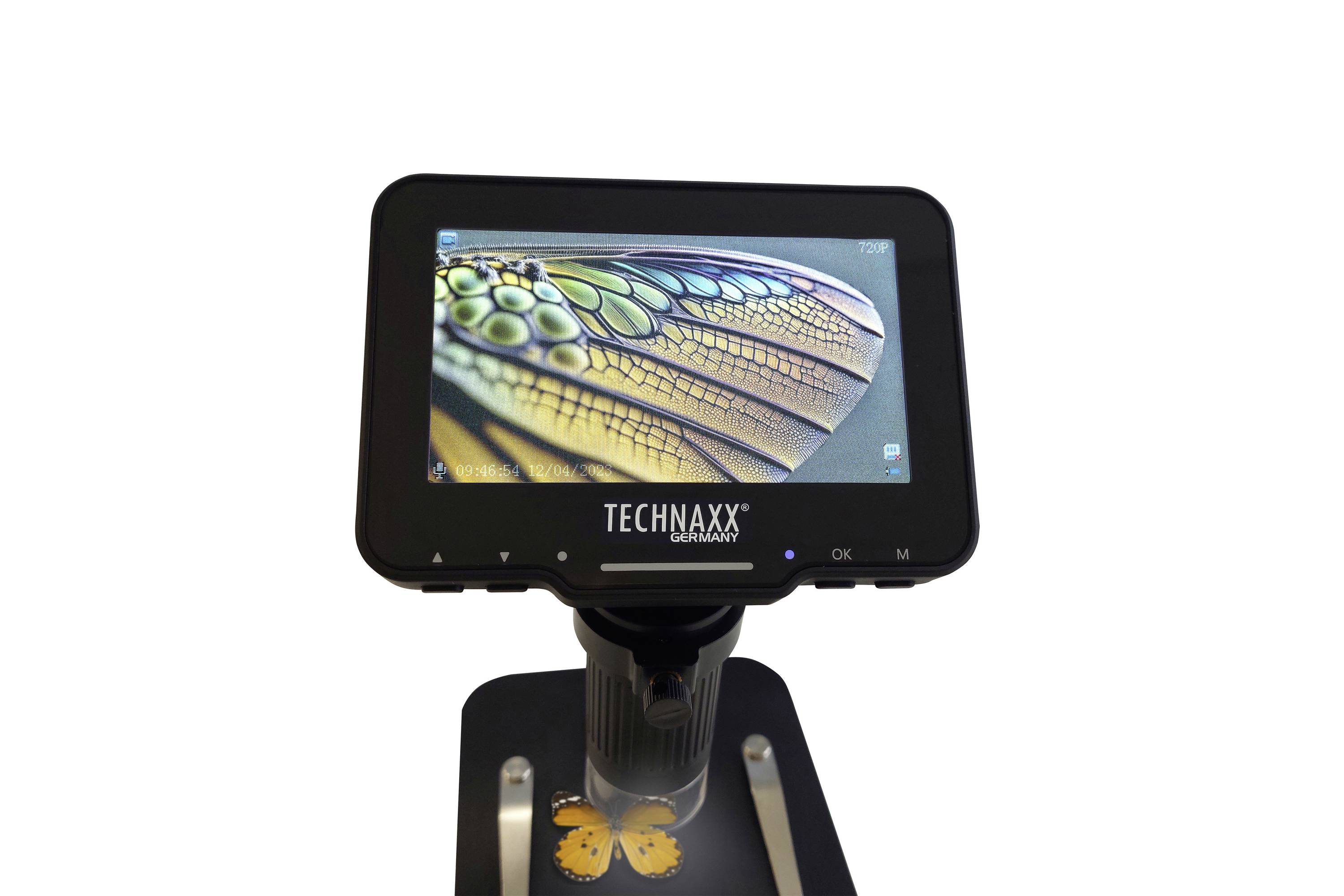 A digital microscope on a table shows a magnified close-up of an insect wing on the screen.