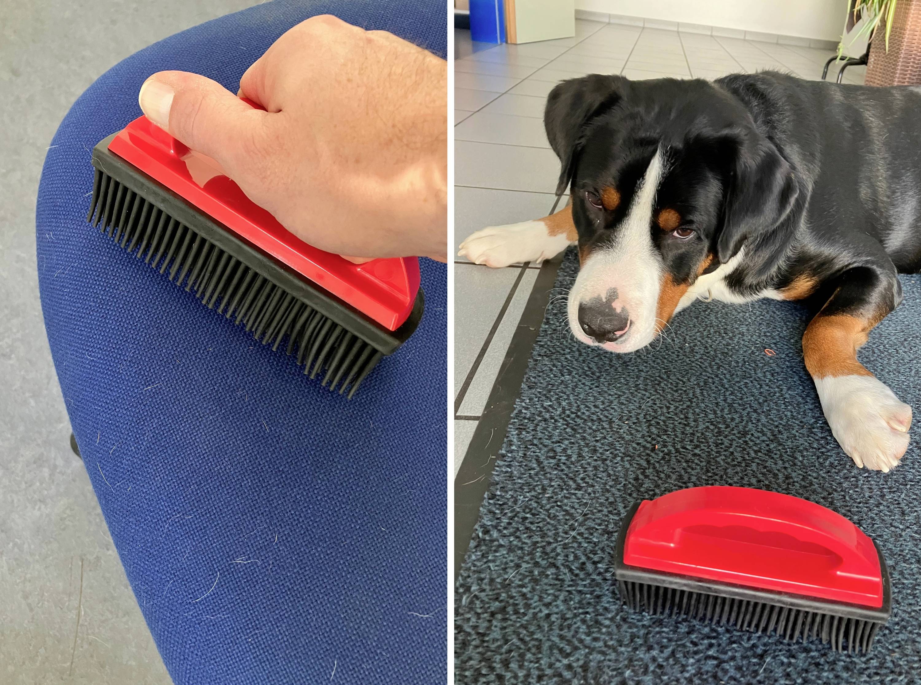 The left image shows a hand removing hair from a blue fabric using a red brush. The right image shows a dog on a carpet next to the brush.