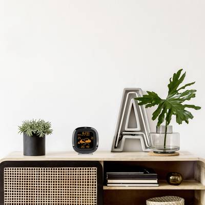 A shelf with a plant arrangement, an alarm clock, two letter decorations ('A' and 'L'), and a stack of books.