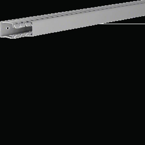 Hager BA740025 Cable duct (L x W x H) 2000 x 25 x 40 mm 2 m Grey