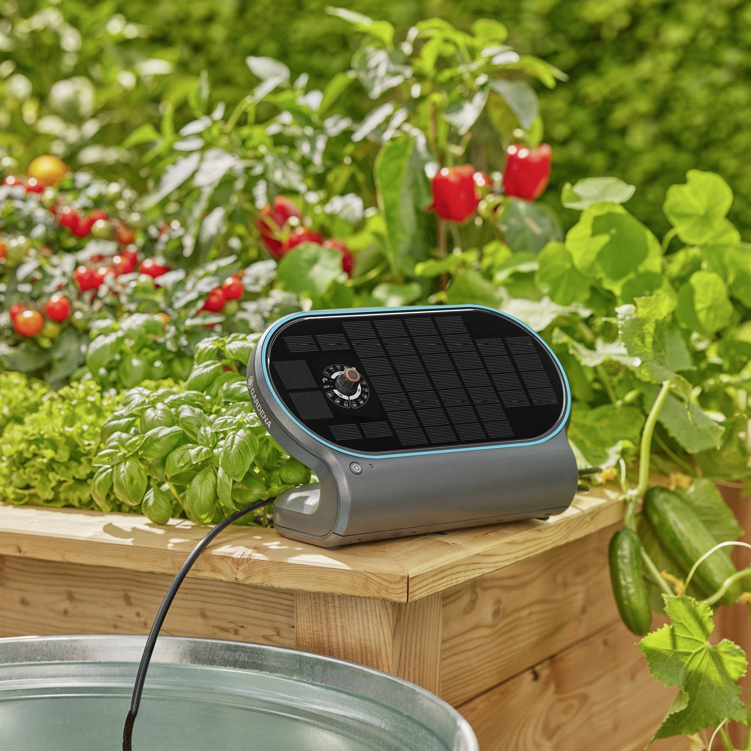 A solar controller with a rotary dial sits on a wooden planter in the garden. Surrounded by green vegetables and red peppers.
