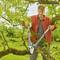 A man in an orange jacket is pruning branches from a tree with secateurs. The background shows a garden.