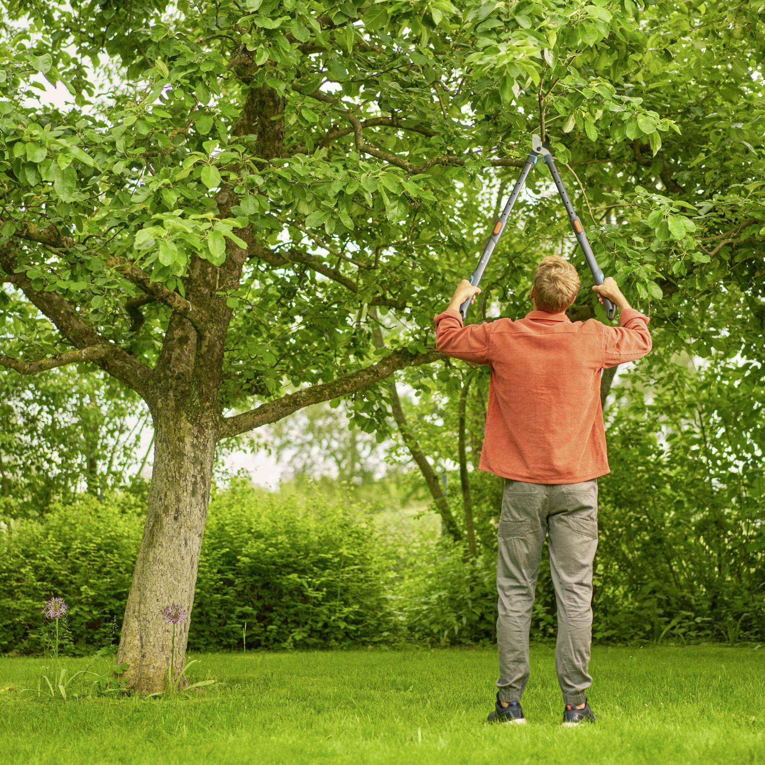 A person in red clothing is pruning branches of a large tree with secateurs in a green garden.