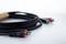 Black audio cable with two red and two black RCA phono plugs on a white background.