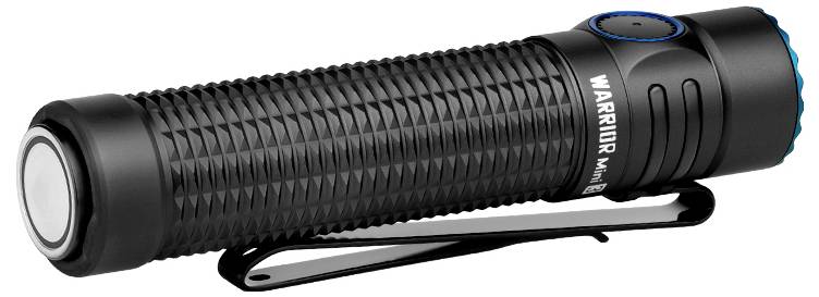 A black torch with a ribbed grip, a clip on the side and the inscription 'WARRIOR Mini 2' on the casing.