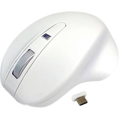 White ergonomic computer mouse with a scroll wheel and a side button, next to a wireless USB adapter.
