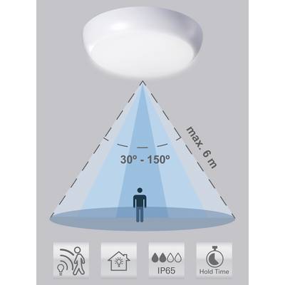 Ceiling light with motion detector covering a 30°–150° angle up to 6m. Icons below indicate motion detection, indoor use, IP65 rating, and adjustable hold time.